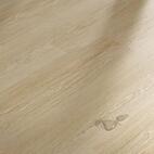 publicpreview (3).jpg