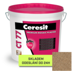 CT-77 - kopie (5) - kopie.png