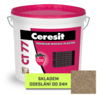 CT-77 - kopie (4) - kopie.png