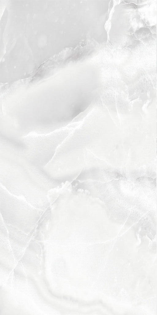 onyx-silver-30x60-1.jpg