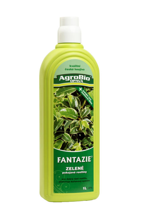 Fantazie-Zelene-pokojove-rostliny1-l.jpg