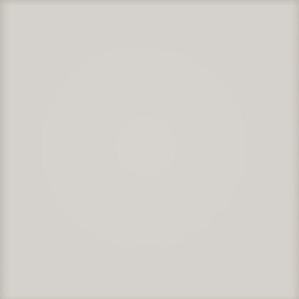Pastel-Szary-jasny-(mat).jpg