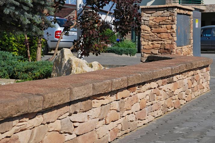 SKÁLA Vršatec hnědý DSC_9028up.jpg