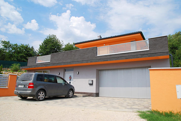 Bridlica standard tmavoseda.jpg