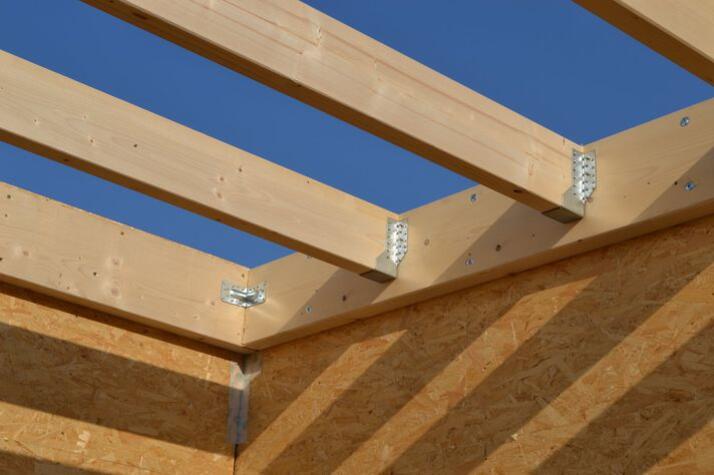 Botka trámová botka tramova.jpg