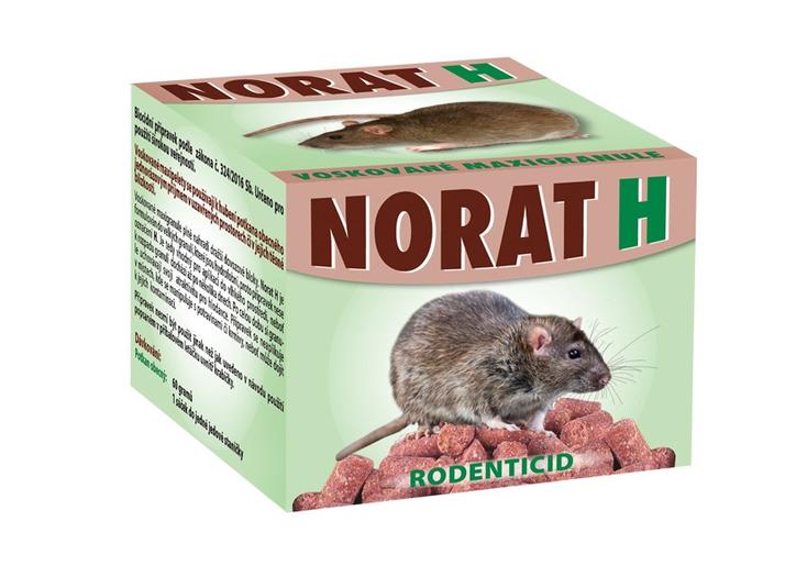 NORAT-H_2018_2x60g.jpg