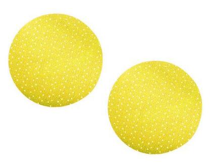 Brusny kotouc_P 80_475808.jpg