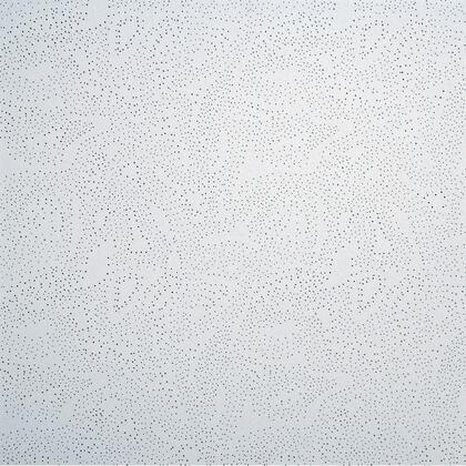 owa-mineralni-stropni-kazeta-sternbild-3-600x600mm.jpg