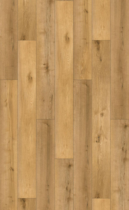 502 PL - dab natural.jpeg