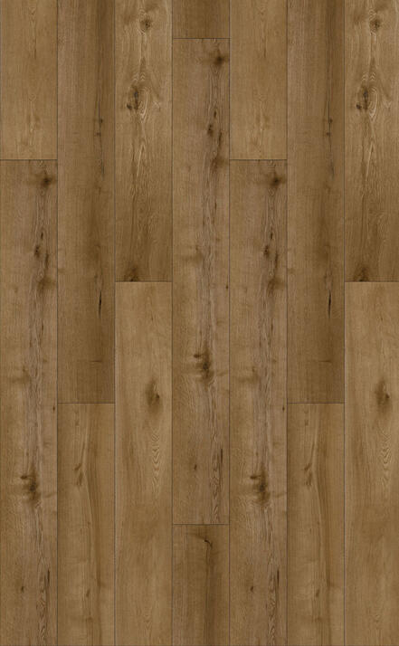 503 PL - dab amber - .jpeg